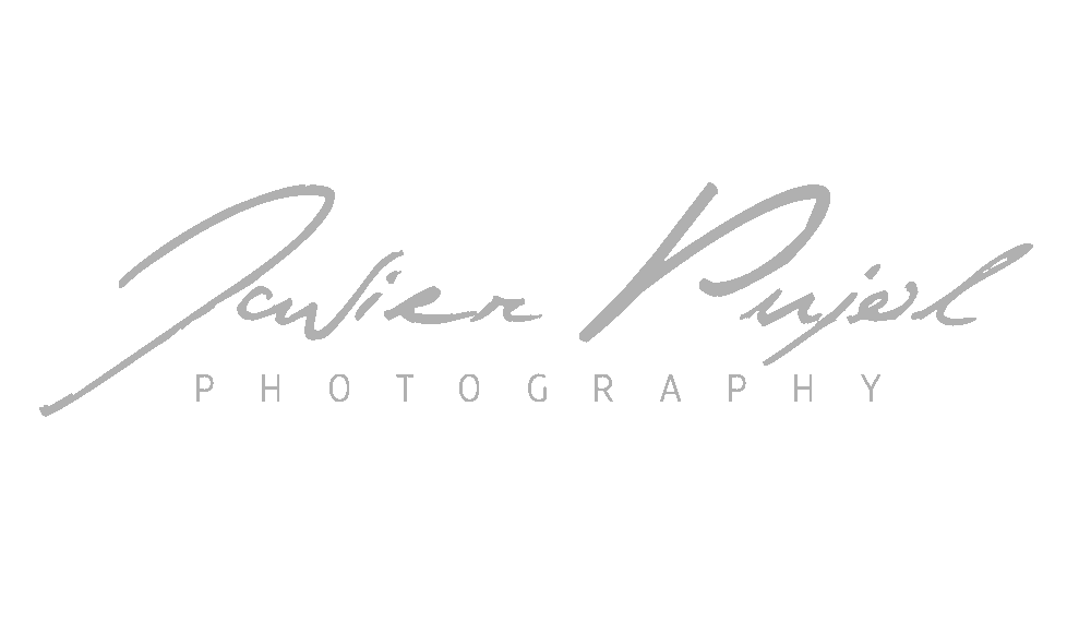 Javier Pujol
